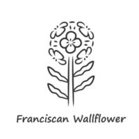 ícone linear de wallflower franciscano. planta de jardim com inscrição de nome. inflorescência de erysimum franciscanum. ilustração de linha fina. símbolo de contorno. desenho de contorno isolado de vetor