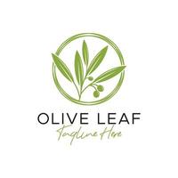 design de logotipo de ilustração de inspiração de folha de oliveira vetor