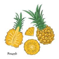 ilustração vetorial de desenho de frutas abacaxi bebê. vetor