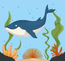 baleia azul e vida marinha no oceano, habitantes do mundo marinho, criaturas subaquáticas fofas, fauna submarina vetor