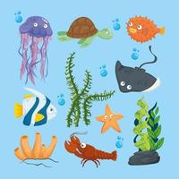 xxx e animais marinhos selvagens no oceano, habitantes do mundo marinho, criaturas subaquáticas fofas, fauna submarina do trópico vetor