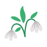 ícone de gotas de neve de vetor. primeira ilustração de plantas florescendo. clipart floral. flores de primavera plana bonitos isoladas no fundo branco. vetor