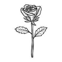 flor desenhada à mão rosa com folha natural isolada ilustração de arte de linha botânica preta vetor