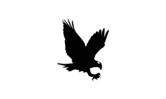 design de ilustração vetorial de silhueta de águia vetor