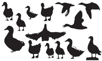 silhuetas de desenho vetorial da coleção de patos vetor