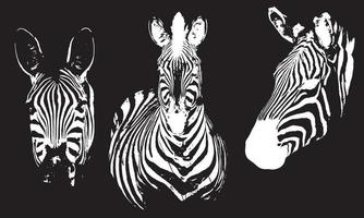 cabeça de silhuetas de design de ilustração vetorial zebra fundo preto e branco