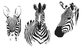 cabeça de silhuetas de design de ilustração vetorial zebra fundo preto e branco