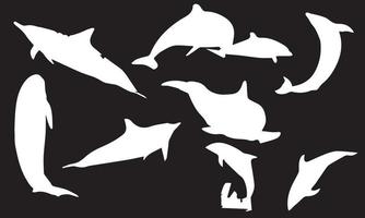 desenho de ilustração vetorial golfinho fundo preto e branco vetor