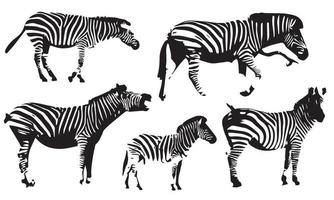 ilustração vetorial silhuetas animais pacotes zebra coleção