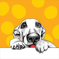 imagem vetorial de um cachorro preto e branco. estilo de projeto. animal. arte. símbolo. logotipo. ilustrador. em branco vetor