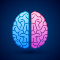 Cérebro humano, hemisférios cerebrais, pictórico, símbolo, ilustração