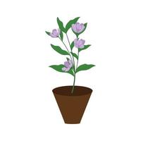 plantas em ícone de vaso de flores isolado no fundo branco. ilustração vetorial em estilo cartoon para design gráfico e web vetor