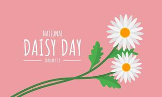 ilustração vetorial, flor da margarida isolada no fundo rosa, como banner, pôster ou modelo, dia dos namorados e dia nacional da margarida. vetor