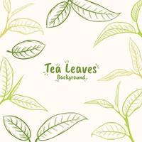 ilustração de folha de chá desenhada de mão vetor