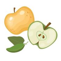 conjunto de fatias de maçã frescas inteiras, metade, fatiadas, isoladas em um fundo branco. frutas orgânicas. estilo de desenho animado. ilustração vetorial para qualquer projeto vetor