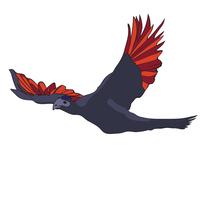 Pássaro cinzento e vermelho vetor