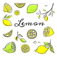 conjunto de limão desenhado à mão1 vetor