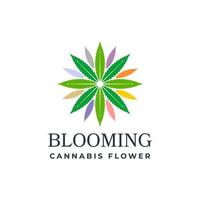 modelo de logotipo de flor de cannabis ou cânhamo florescendo vetor
