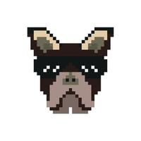 cabeça de cachorro de pixel art vetorial vetor