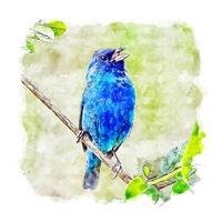 pássaro azul animal desenho em aquarela ilustração desenhada à mão vetor