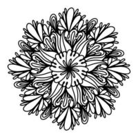 floral, flores de mandala de aster desenhadas à mão em estilo doodle isolado no fundo branco. coloração engraçada e fofa para design sazonal, têxtil, decoração infantil ou cartão de felicitações. crisântemo. vetor