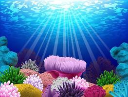 ilustração de coral e conchas no fundo do mar vetor