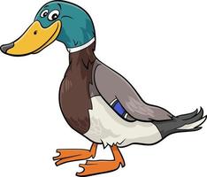 ilustração de desenho animado de personagem de animal de pássaro de pato selvagem vetor