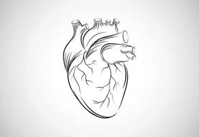 ilustração em vetor coração humano de arte de linha desenhada à mão