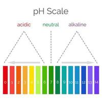 escala horizontal de ph para medir o equilíbrio alcalino ácido. teste de valor químico. infográficos com gráfico de indicadores. ilustração vetorial vetor
