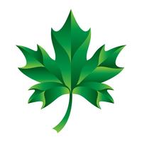 Logotipo de vetor Outono Maple Leaf