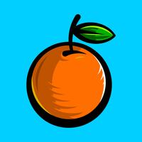 Ilustração de fruta laranja vetor