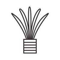 linhas planta sansevieria logotipo símbolo vetor ícone ilustração design