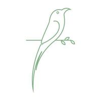 linha passarinho cauda longa design de logotipo vetor gráfico símbolo ícone sinal ilustração ideia criativa