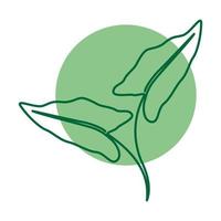 linhas de beleza planta verde monstera logotipo símbolo ícone vector design gráfico ilustração