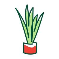 planta colorida sansevieria logotipo vetor símbolo ícone design ilustração