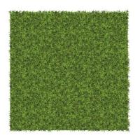 exemplo de fundo de grama verde de textura de grama para padrão vetor