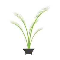 planta Phoenix palm logotipo símbolo vetor ícone ilustração design gráfico