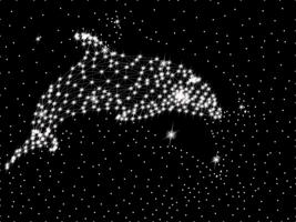 Arte do polígono do golfinho vetor