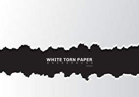 Bordas de papel rasgado branco com sombra no fundo preto com espaço de cópia. vetor