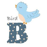 ilustração para o alfabeto inglês com a imagem de um pássaro, para ensinar as crianças com uma bela tipografia. ab - letra b vetor