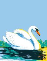 cisne mudo ou cygnus olor nadando no lago visto de lado wpa poster art vetor