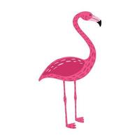 flamingo em pé sobre duas pernas, isolado no fundo branco. pássaro bonito cor-de-rosa com pescoço comprido e pernas. animal exótico da África. em estilo doodle vetor
