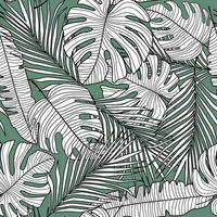 sem costura padrão com folhas de linha monstera sobre fundo verde. vetor