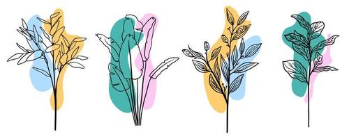 definir ramos de contorno de esboço florístico botânico com folhas. desenho contínuo de uma linha com manchas coloridas. arte de linha. vetor