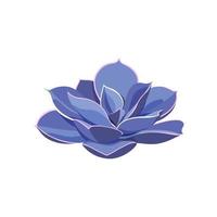 suculenta echeveria perle von nurnberg, planta da casa. desenhe a flor da sala colorida em estilo cartoon. logotipo e ícone para impressão e design. ilustração vetorial, elemento roxo isolado no fundo branco. vetor