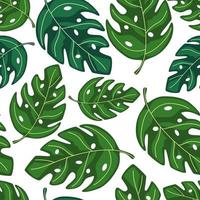 monstera tropical deixa padrão de repetição sem costura. planta exótica. vetor