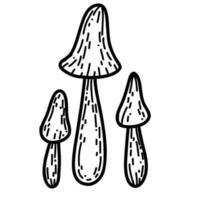 cogumelo em estilo doodle desenhado à mão. ilustração vetorial de outono linear vetor
