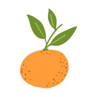 fruta laranja. tangerina isolada em estilo doodle vetor
