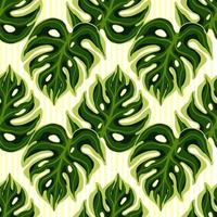 padrão natural sem costura com impressão de doodle de elementos verdes monstera. cenário tropical de folhagem abstrata isolado. vetor