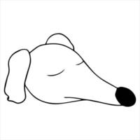 retrato vetorial de um cão de caça no estilo cartoon doodle. raça borzoi russo. ilustração de animal de estimação em estilo de arte de linha vetor